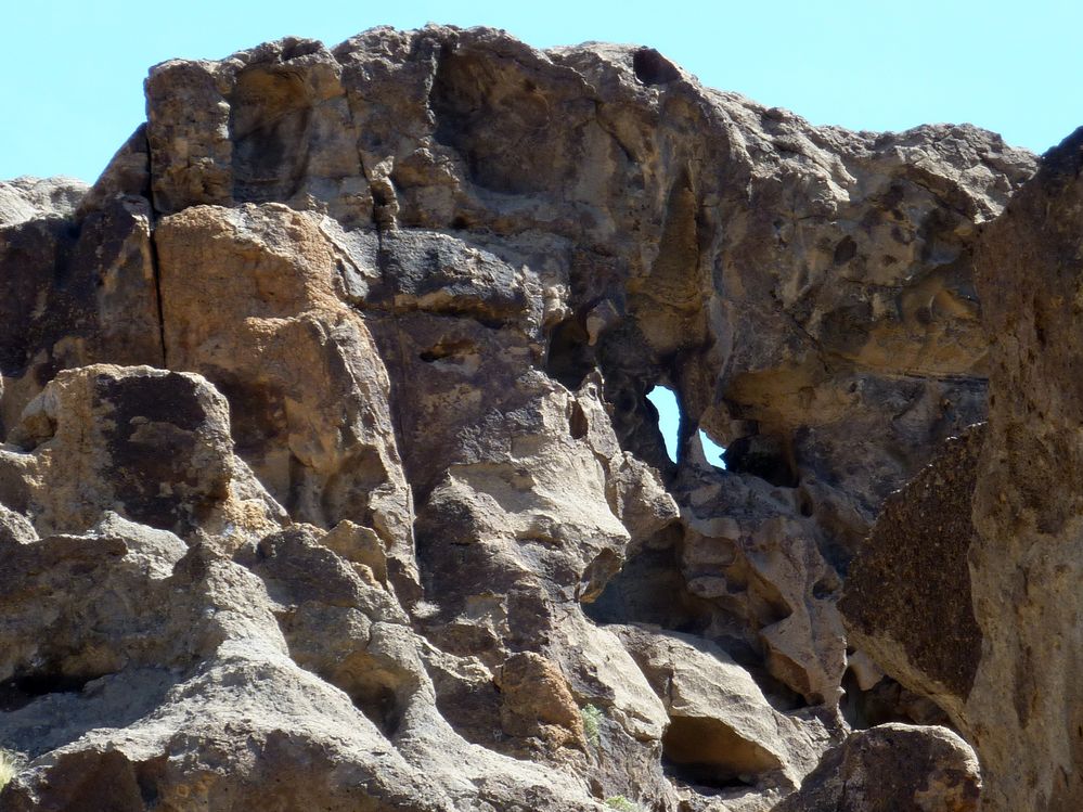 Mojave reserve (25).JPG